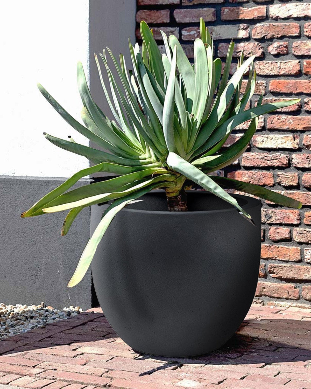 Luca Lifestyle Grigio New Egg Pot - Acacia Garden Center