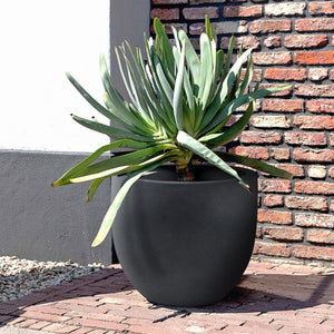 Luca Lifestyle Grigio New Egg Pot - Acacia Garden Center