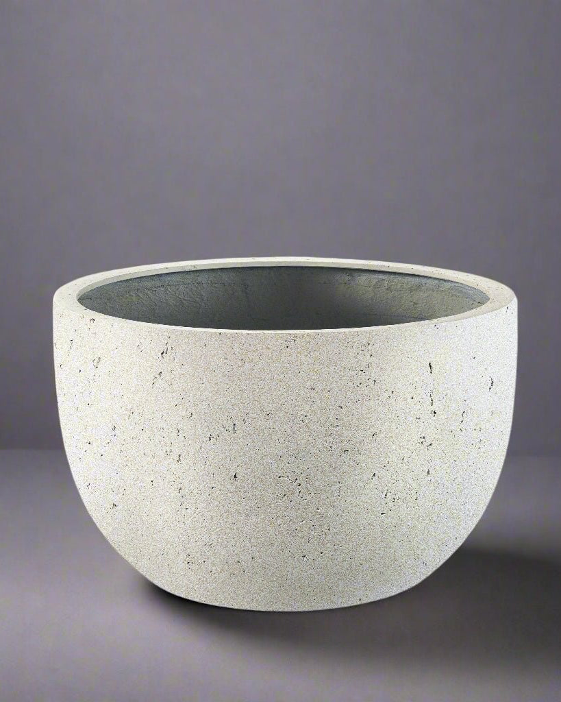 Antique White Luca Lifestyle - Grigio New Egg Pot Low - Antique White - Acacia Garden Center