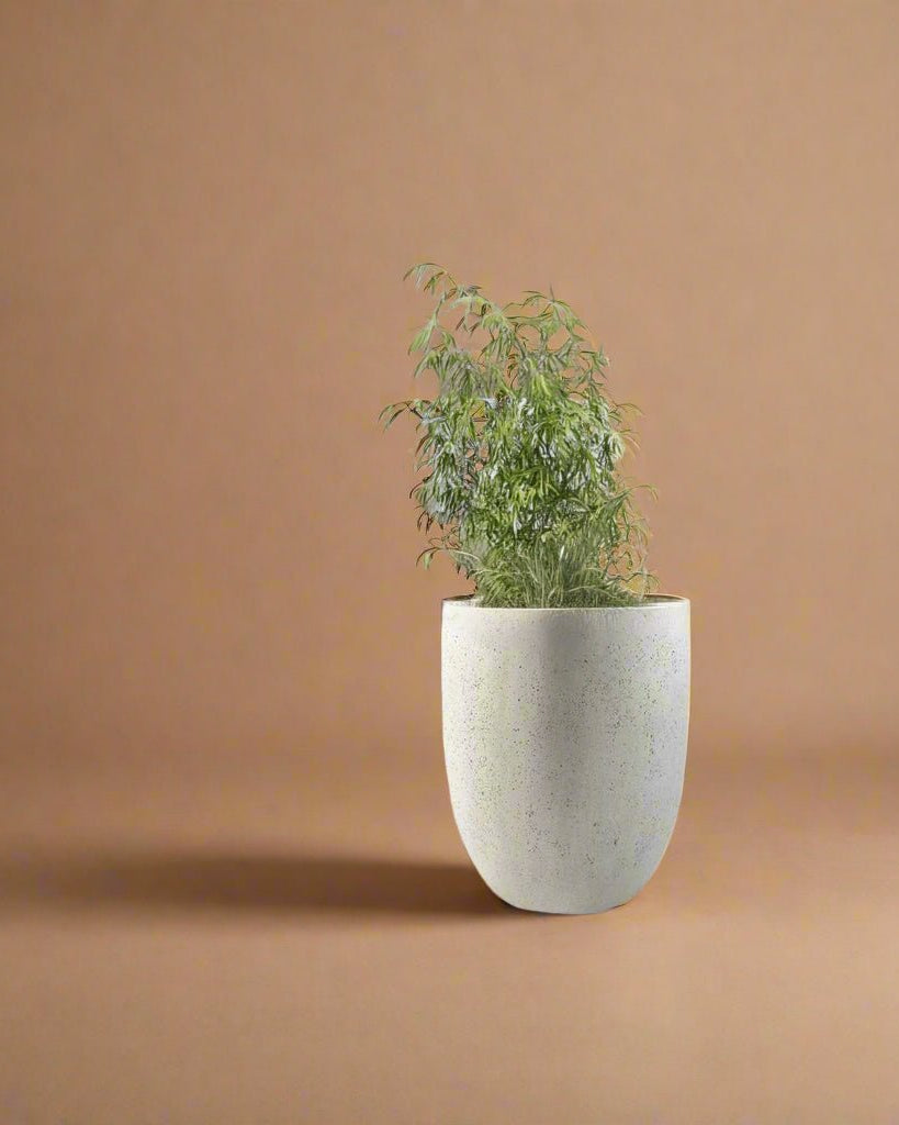 Luca Lifestyle - Grigio Tall Egg - Acacia Garden Center