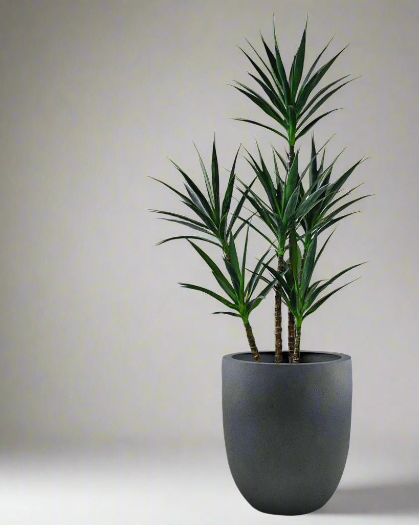 Luca Lifestyle - Grigio Tall Egg - Acacia Garden Center