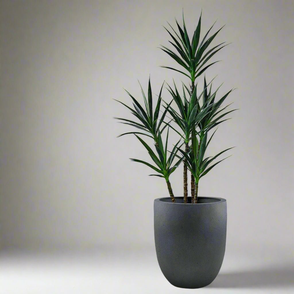 Luca Lifestyle - Grigio Tall Egg - Acacia Garden Center