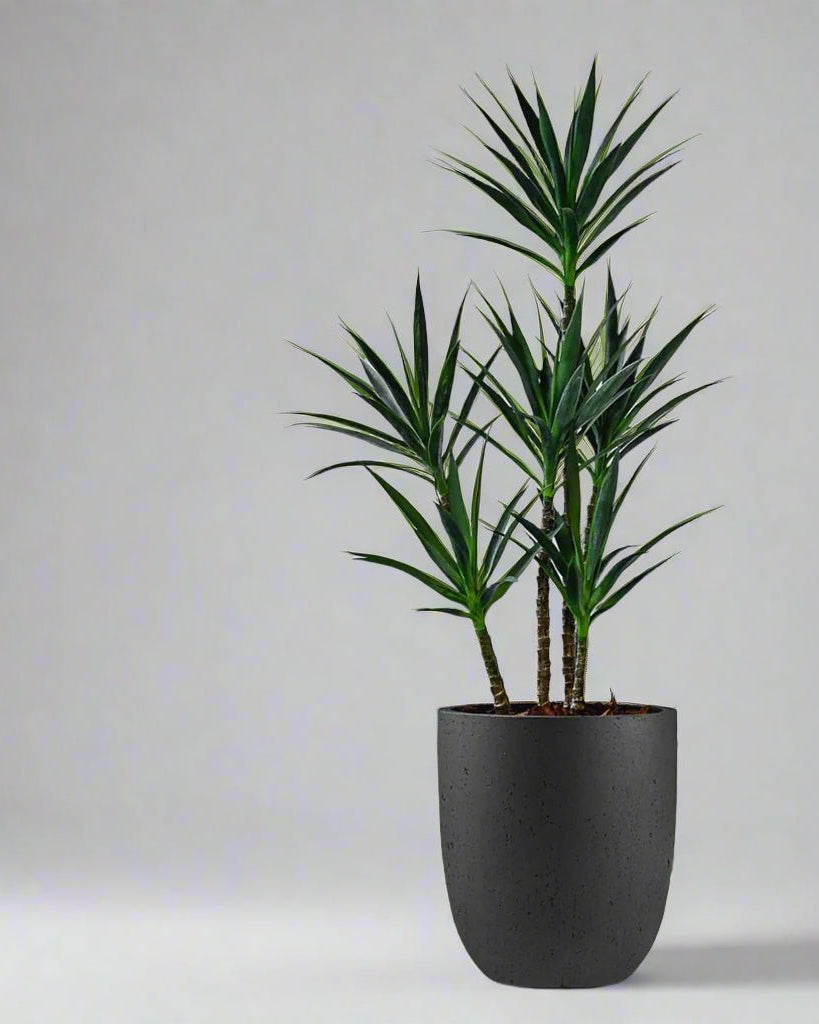 Luca Lifestyle - Grigio Tall Egg - Acacia Garden Center