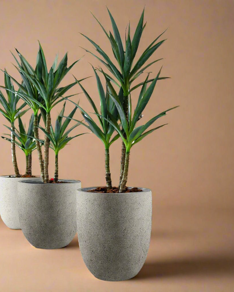 Luca Lifestyle - Grigio Tall Egg - Acacia Garden Center