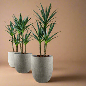 Luca Lifestyle - Grigio Tall Egg - Acacia Garden Center