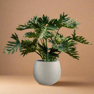 Luca Lifestyle Struttura Balloon Bowl - Acacia Garden Center