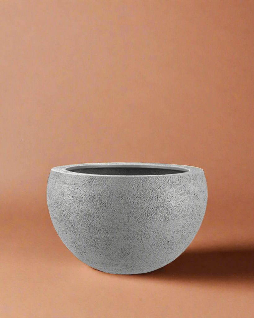 Luca Lifestyle Struttura Elena - Acacia Garden Center