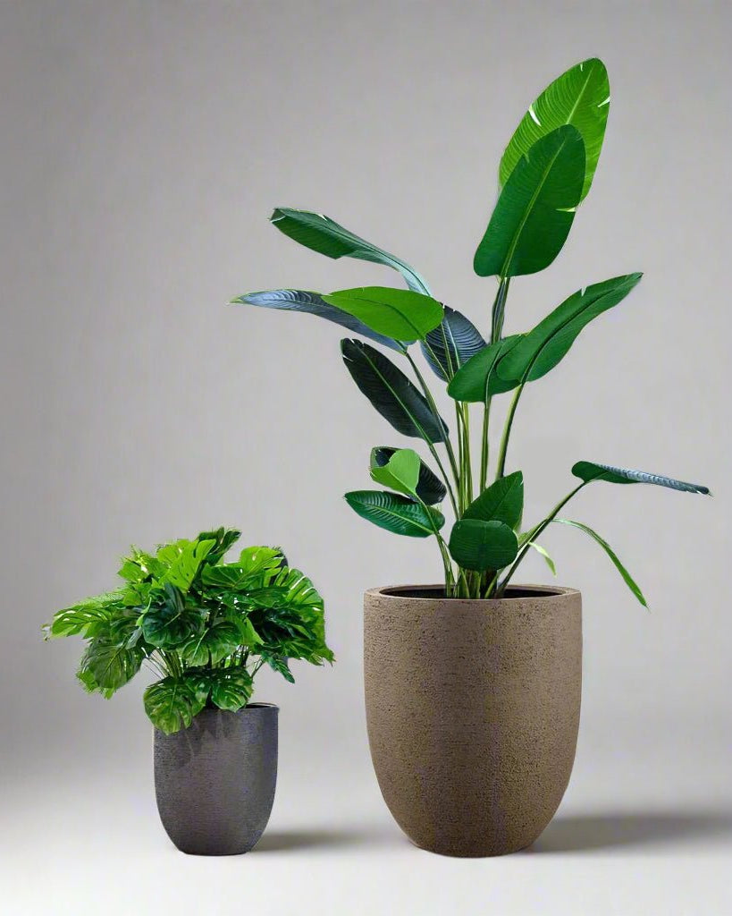 Luca Lifestyle Struttura Tall Egg Pot - Acacia Garden Center