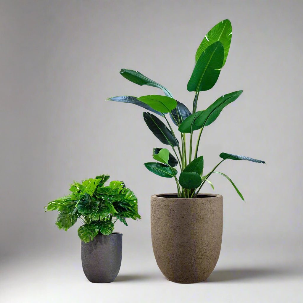 Luca Lifestyle Struttura Tall Egg Pot - Acacia Garden Center