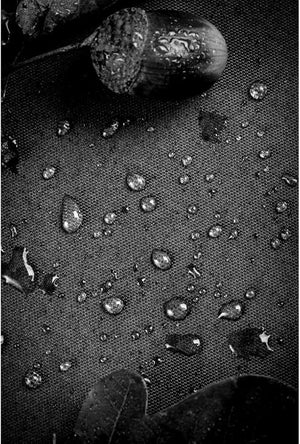 Madison Parasol Protective Cover 250x55/60 - Acacia Garden Center