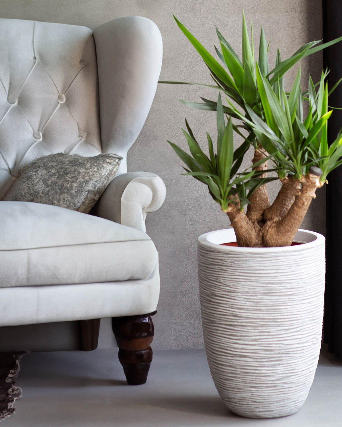 Nature Elegant Low Rib Vase | Multiple Colours - Acacia Garden Center