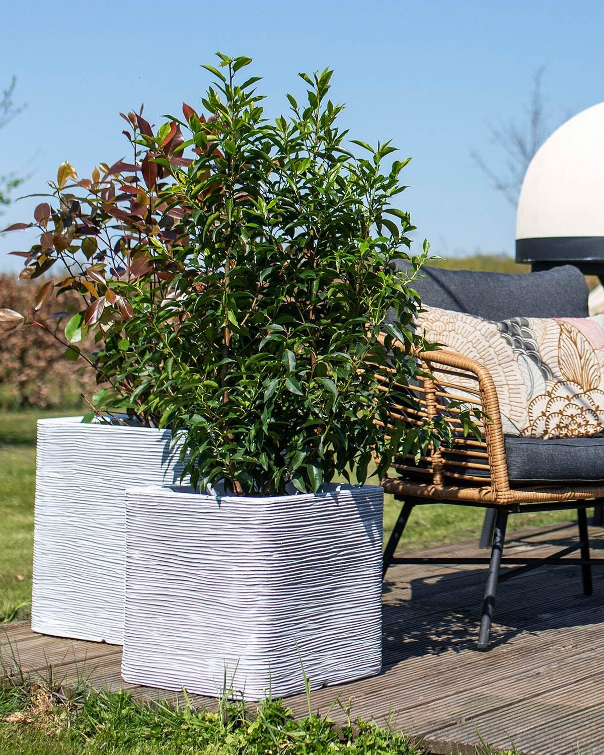 Nature Planter Square Rib | Ivory, 2 Sizes - Acacia Garden Center