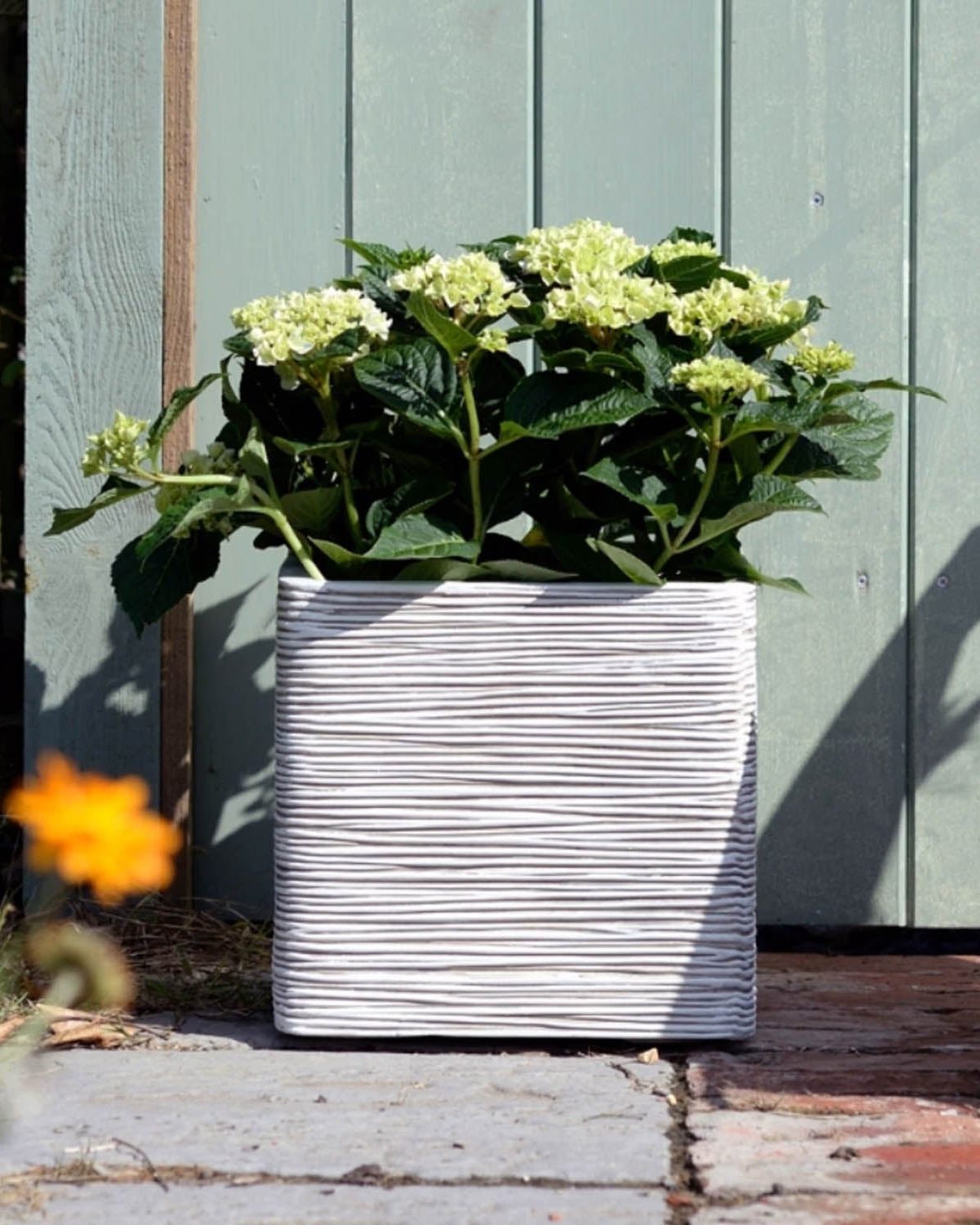 Nature Planter Square Rib | Ivory, 2 Sizes - Acacia Garden Center