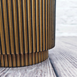 Nerve Plant (Fittonia albivenis) Mixed Colors | 10 - 15 cm - Acacia Garden Center