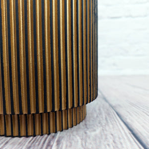 Nerve Plant (Fittonia albivenis) Mixed Colors | 10 - 15 cm - Acacia Garden Center