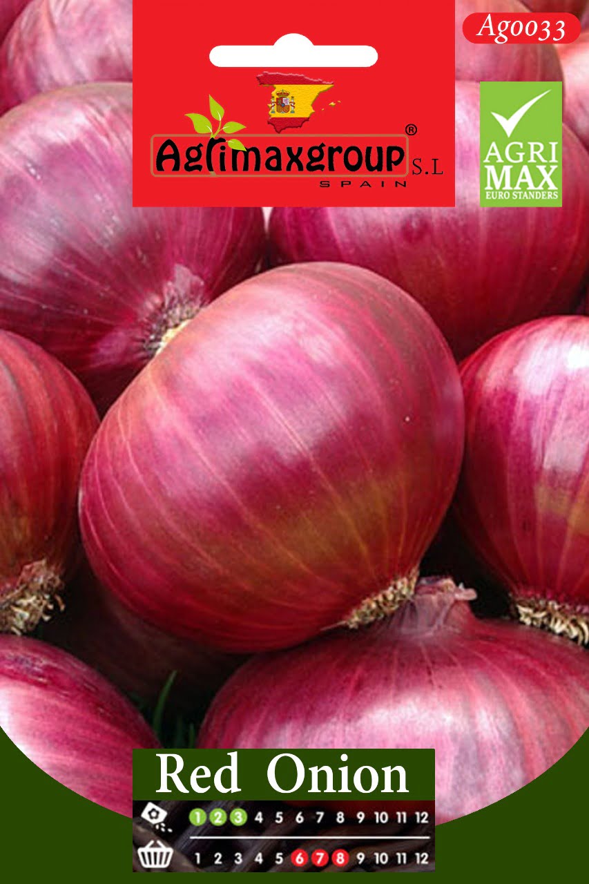 Onion - Acacia Garden Center