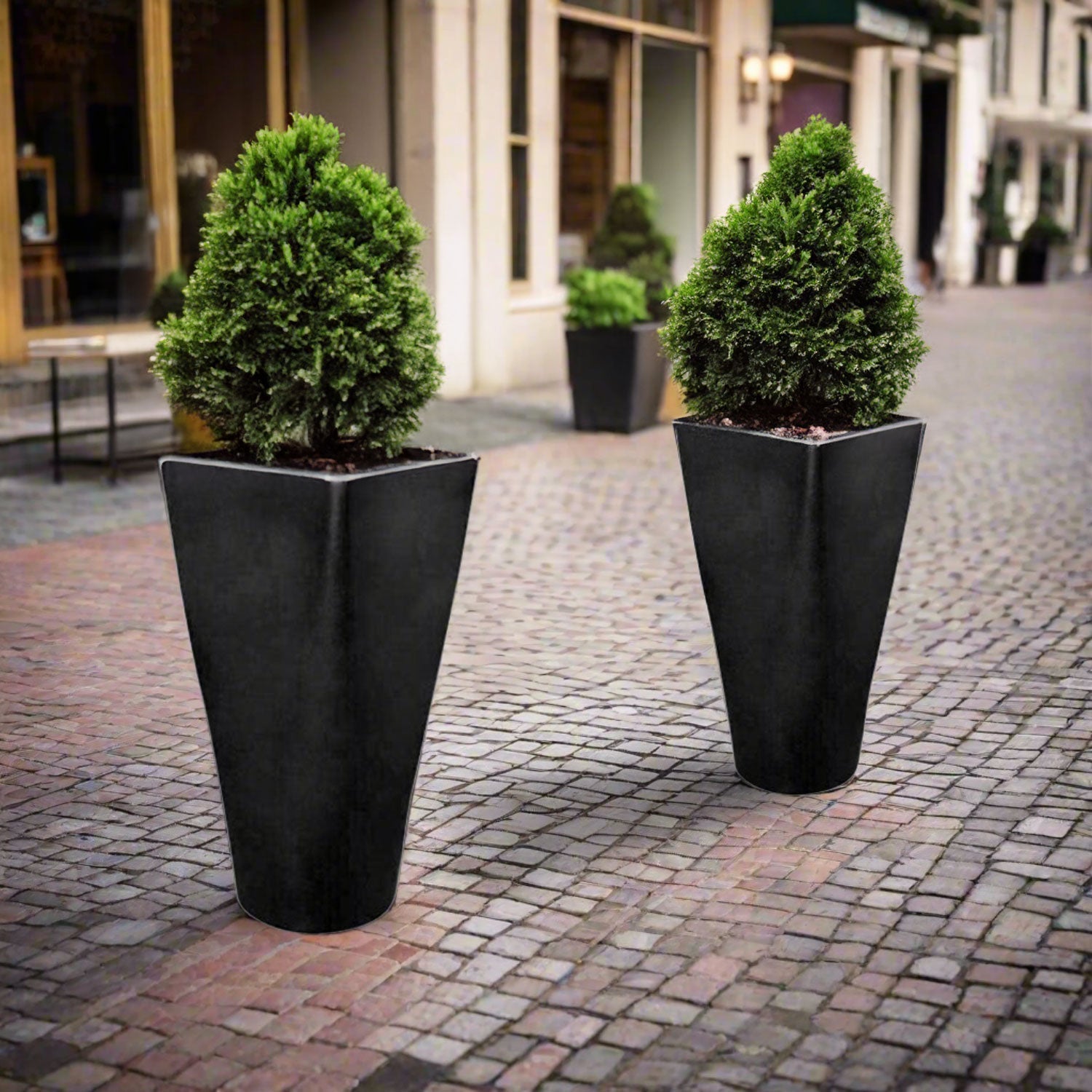 Pasquini & Bini Auriga, Tall Square - Round - Acacia Garden Center