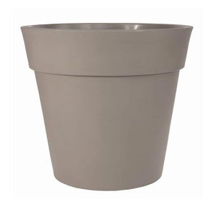 Pasquini & Bini Lira Elite - Acacia Garden Center