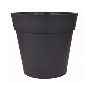 Pasquini & Bini Lira Elite - Acacia Garden Center