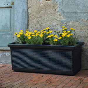Pasquini & Bini Millerighe Flower Box - Acacia Garden Center