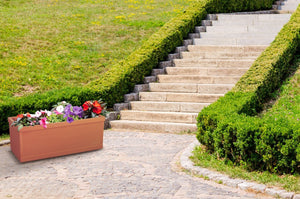 Pasquini & Bini Millerighe Flower Box - Acacia Garden Center