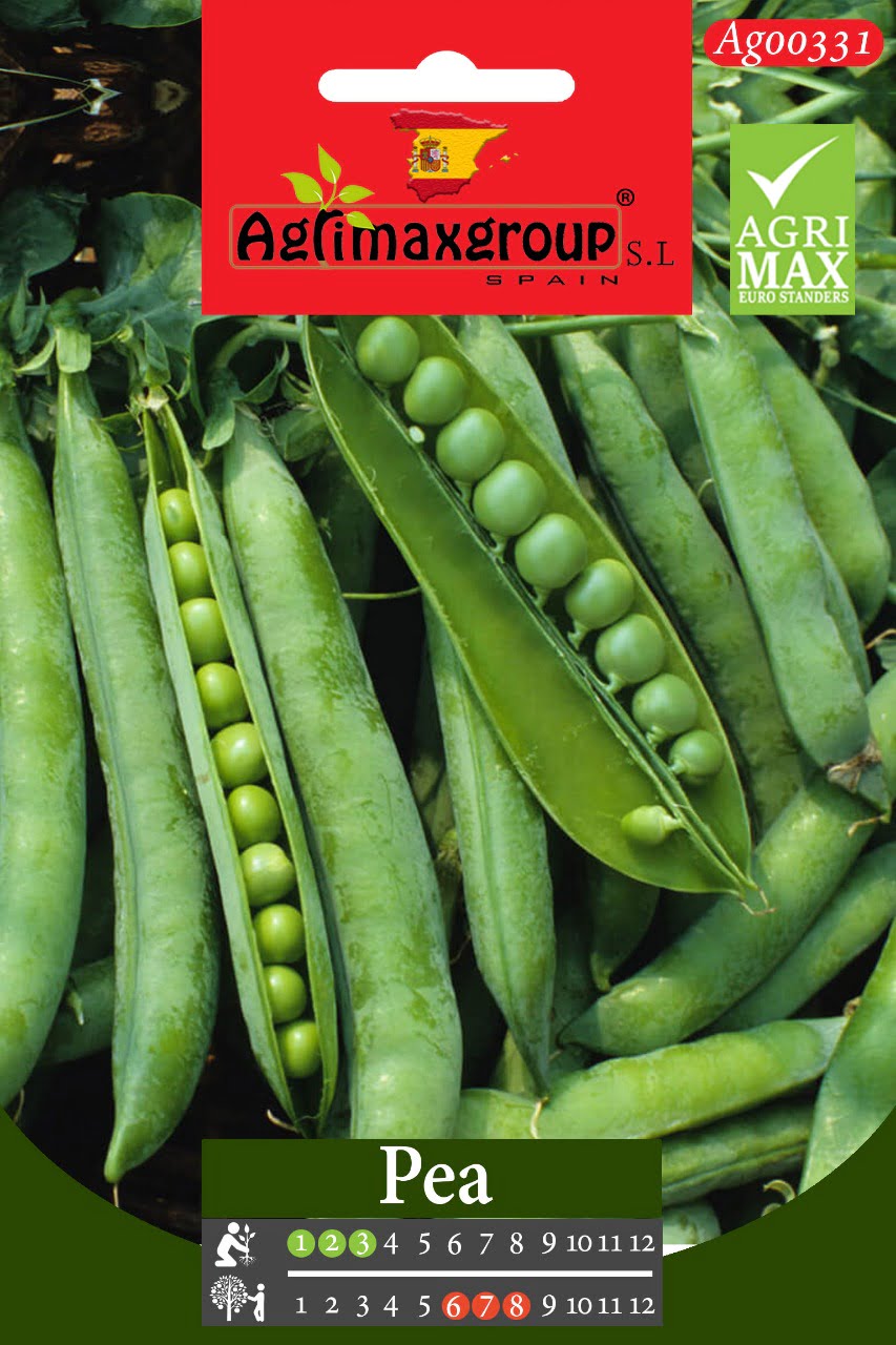 Pea - Acacia Garden Center