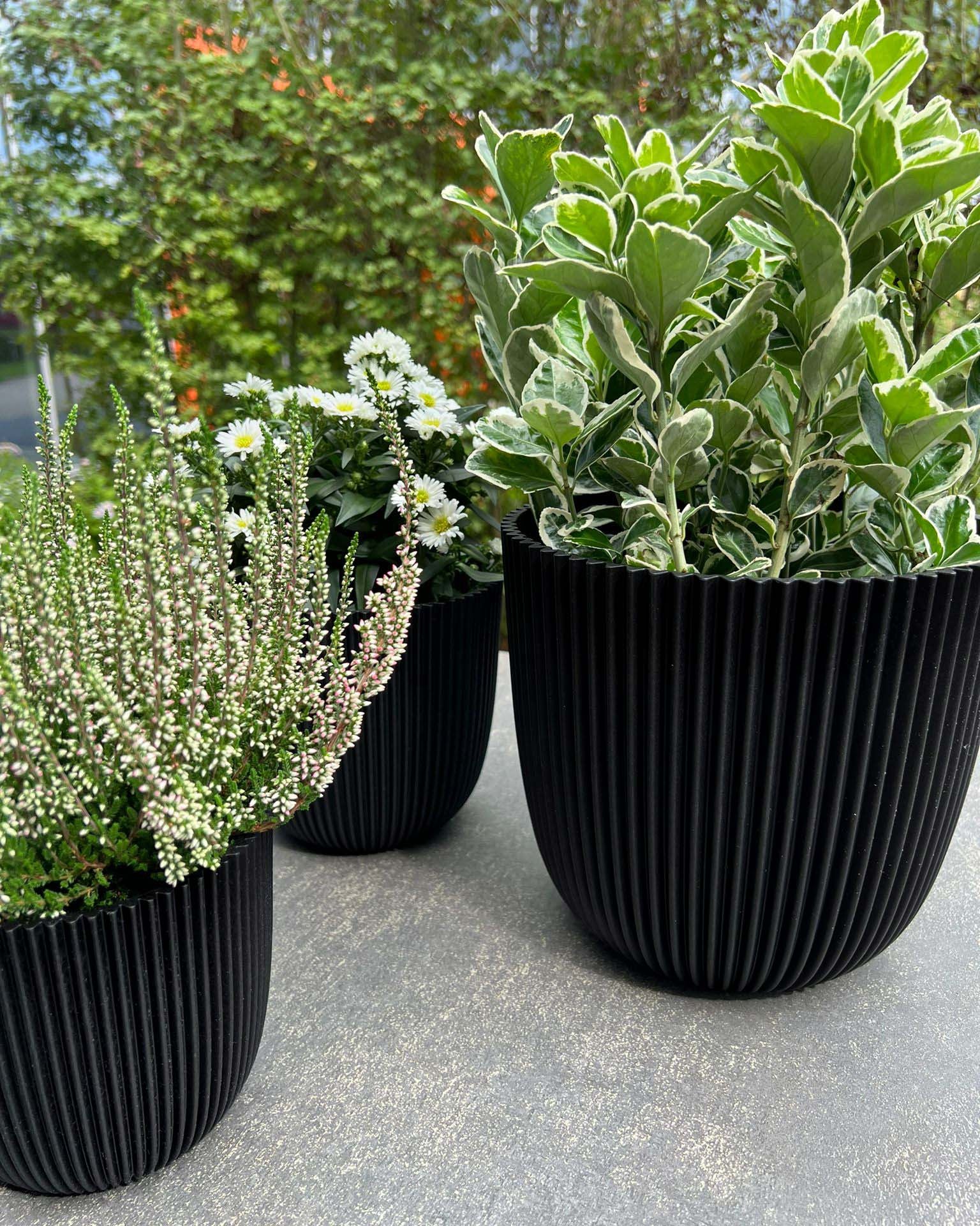 Planter Ball Groove - Acacia Garden Center