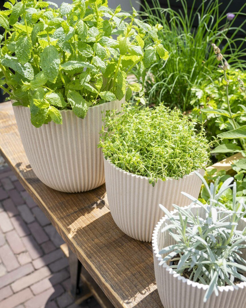 Planter Ball Groove - Acacia Garden Center