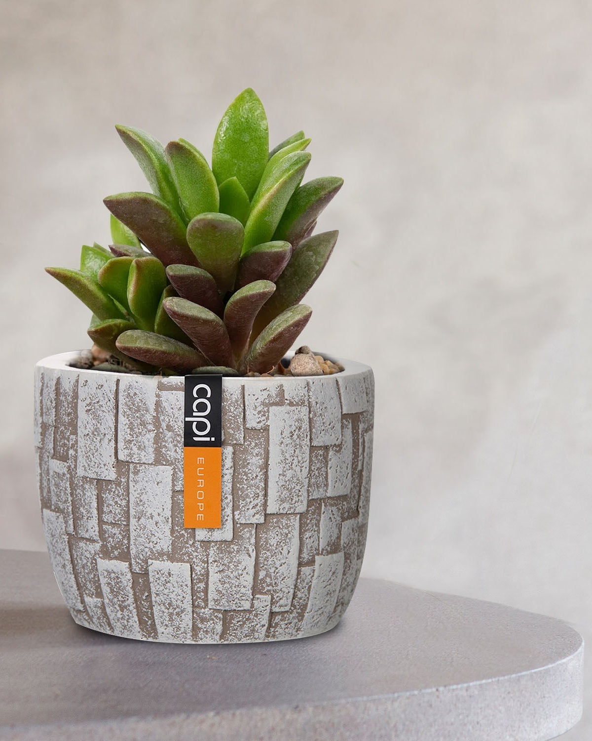 Planter Ball Stone - BSTI / BSTZ 139 - Acacia Garden Center