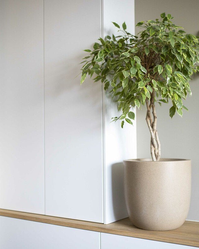 Planter Ball Waste Smooth - Acacia Garden Center