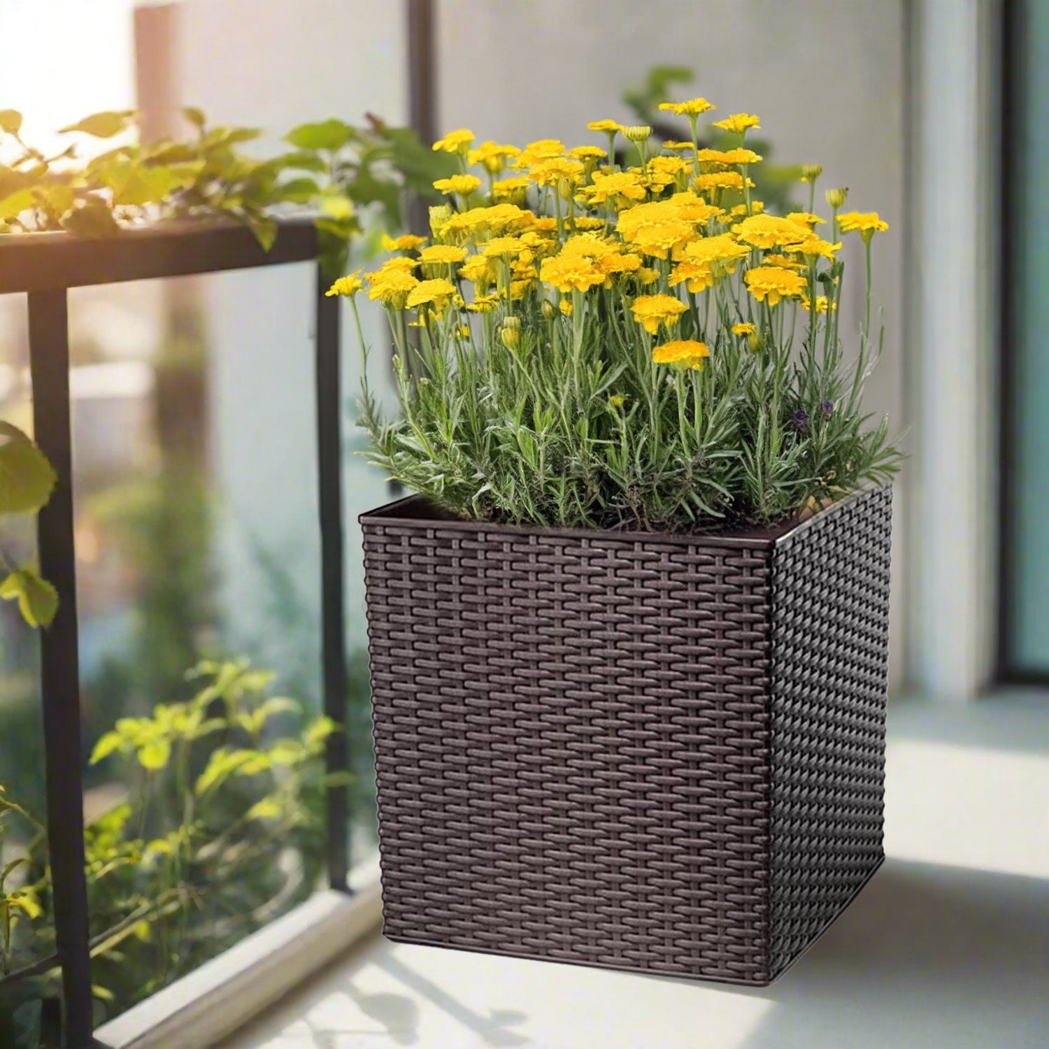 Plastona Self - Watering Planter (Natura) | Rusty Iron, 36 × 36 × 36 cm - Acacia Garden Center