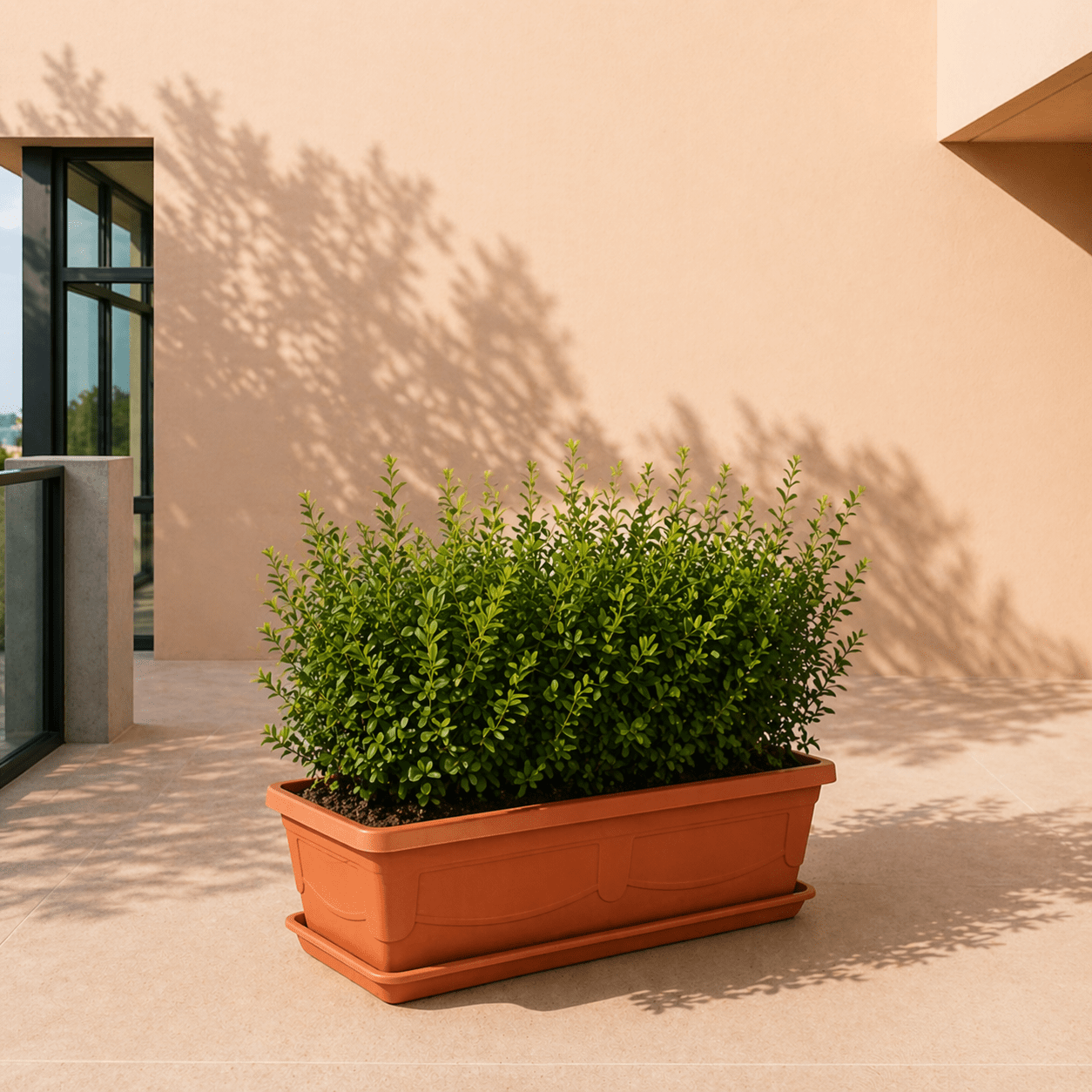 Rectangle Flowerpot with Plate | Terracotta Plastic, 44.5–70 cm long - Acacia Garden Center