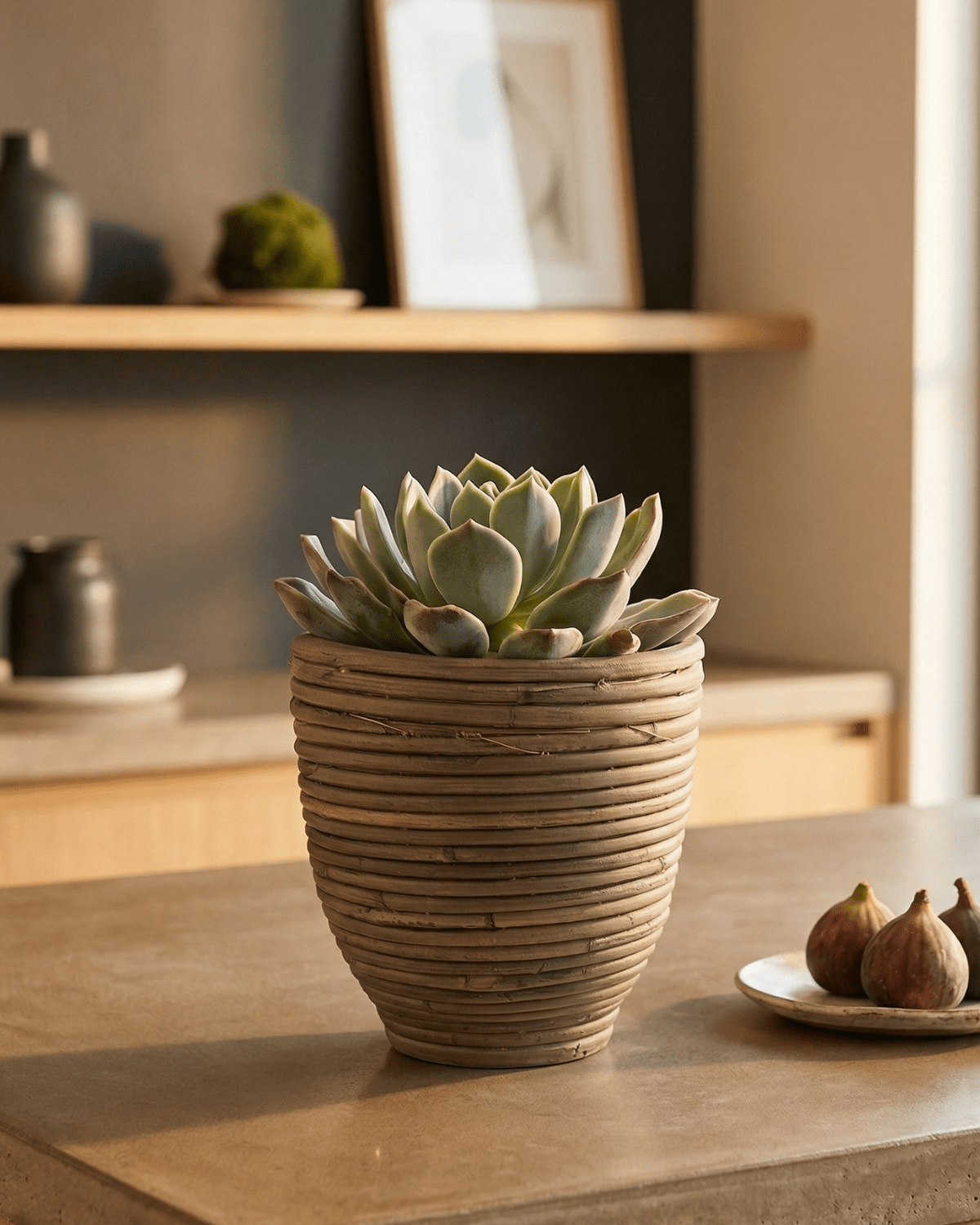Round Balloon Pot (300856) | Natural, D15 × 14 cm - Acacia Garden Center