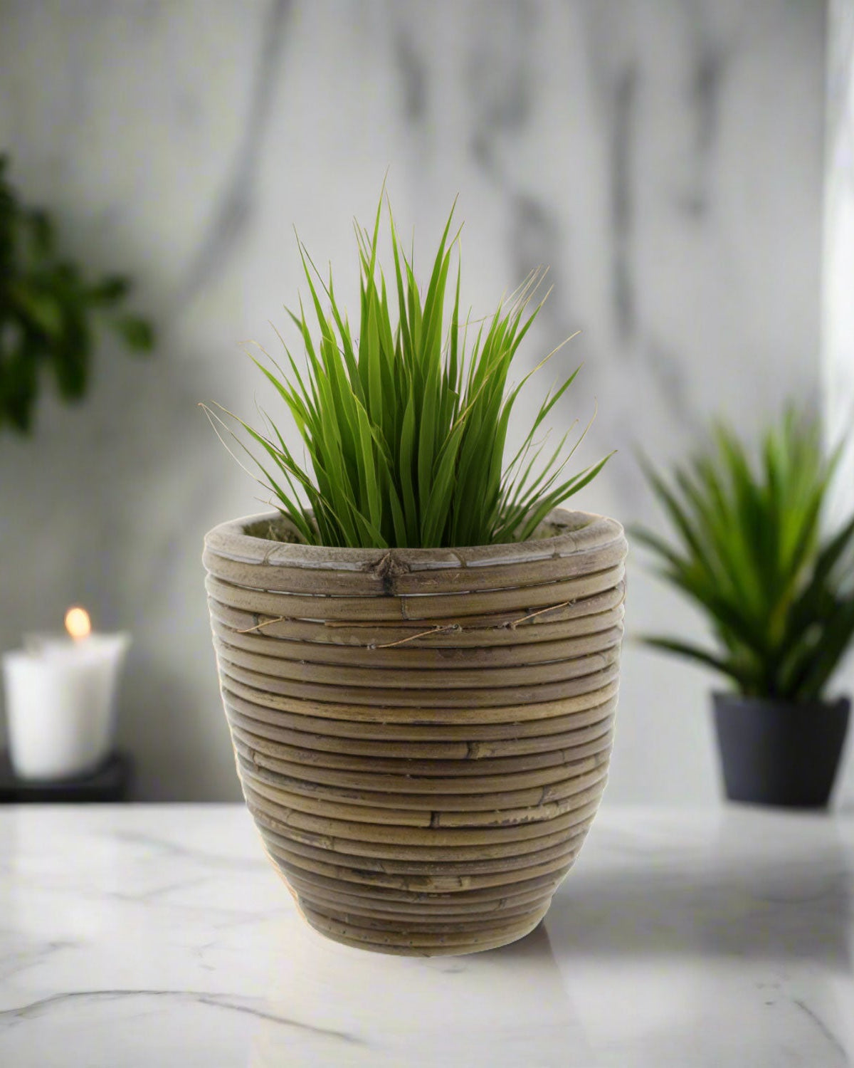 Round Balloon Pot (300857) | Natural, D18 × 16 cm - Acacia Garden Center