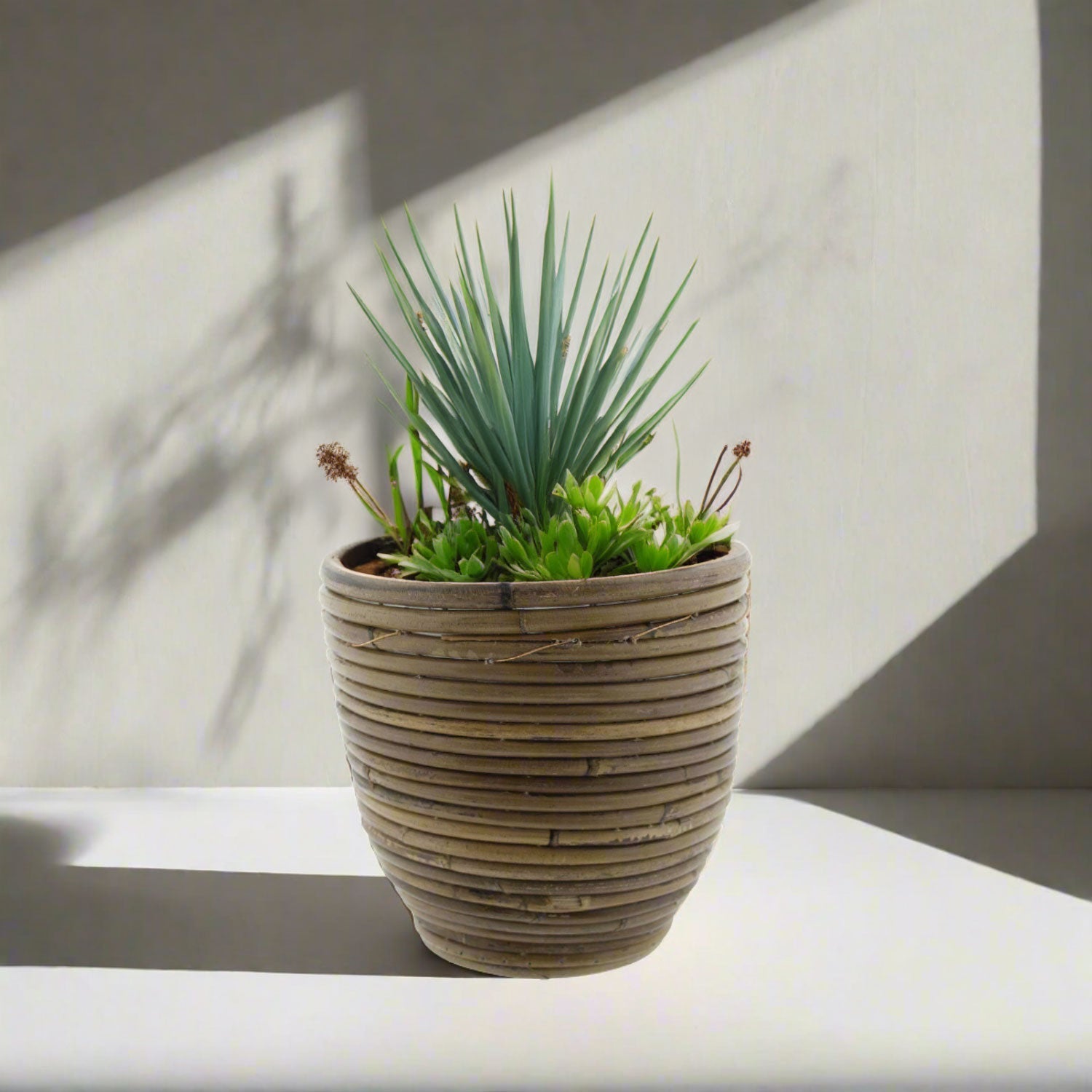 Round Balloon Pot (300858) | Natural, D20 × 19 cm - Acacia Garden Center