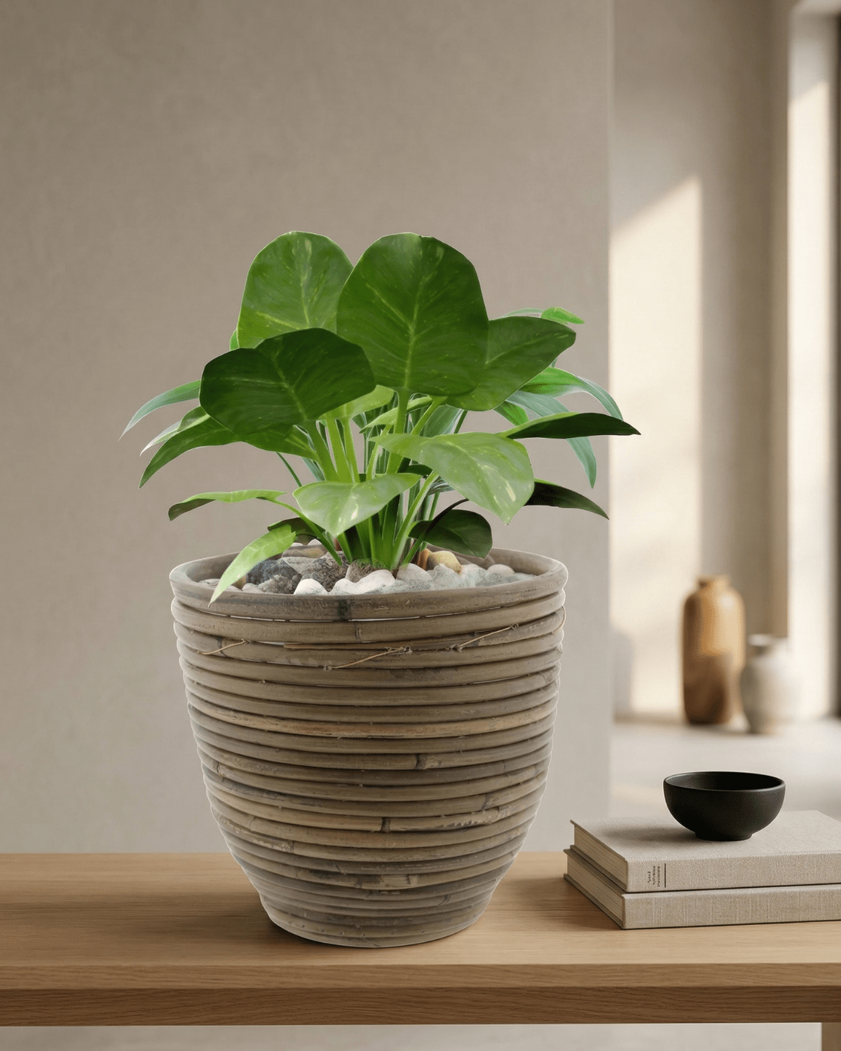 Round Balloon Pot (301975) | Natural, D24 × 24 cm - Acacia Garden Center