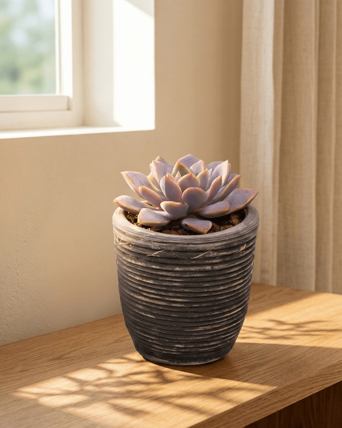 Round Balloon Pot (302196) | Black Wash, D13 × 11 cm - Acacia Garden Center