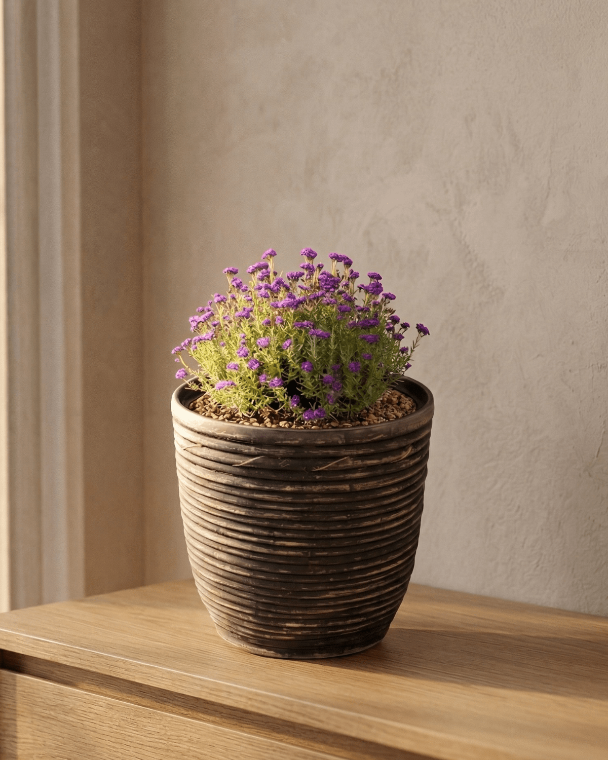 Round Balloon Pot (302197) | Black Wash, D15 × 14 cm - Acacia Garden Center