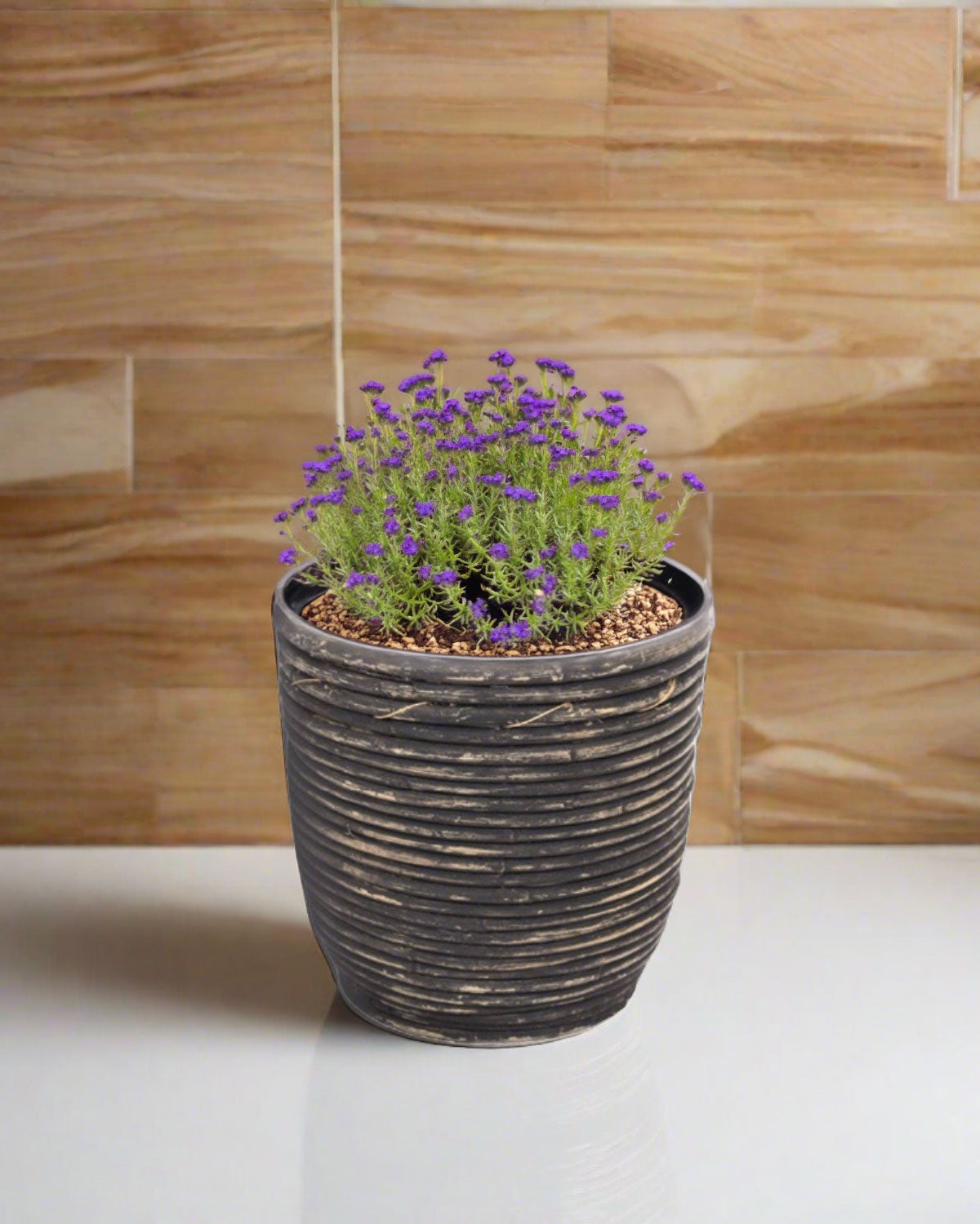 Round Balloon Pot (302197) | Black Wash, D15 × 14 cm - Acacia Garden Center