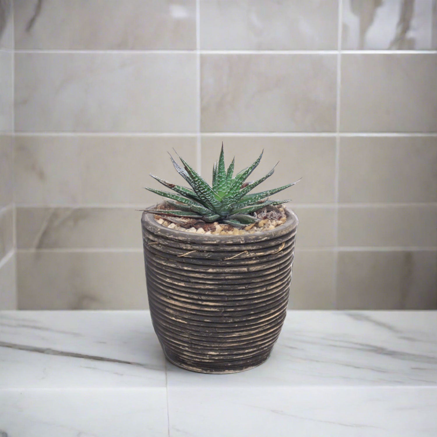 Round Balloon Pot (302198) | Black Wash, D18 × 16 cm - Acacia Garden Center