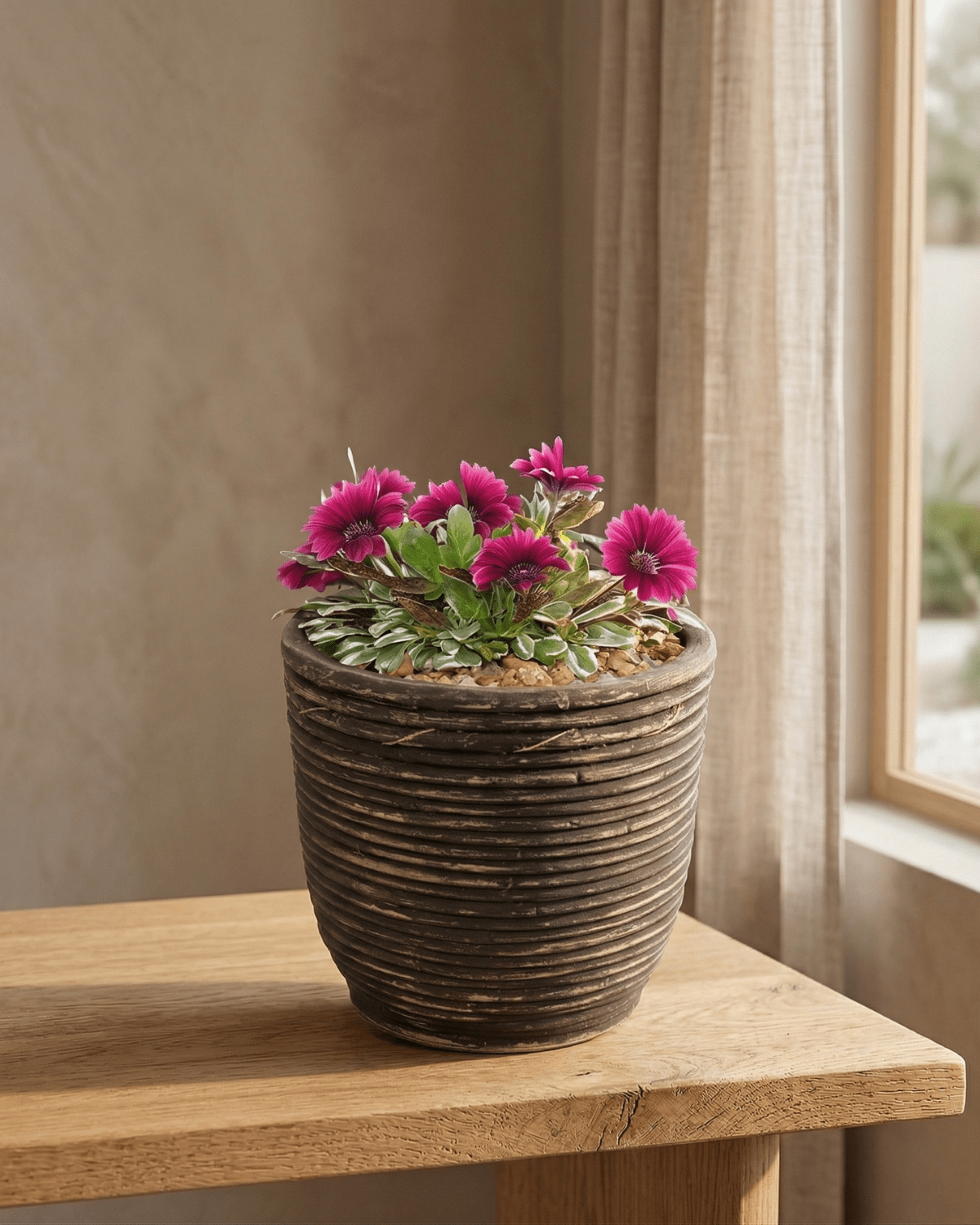 Round Balloon Pot (302200) | Black Wash, D24 × 24 cm - Acacia Garden Center