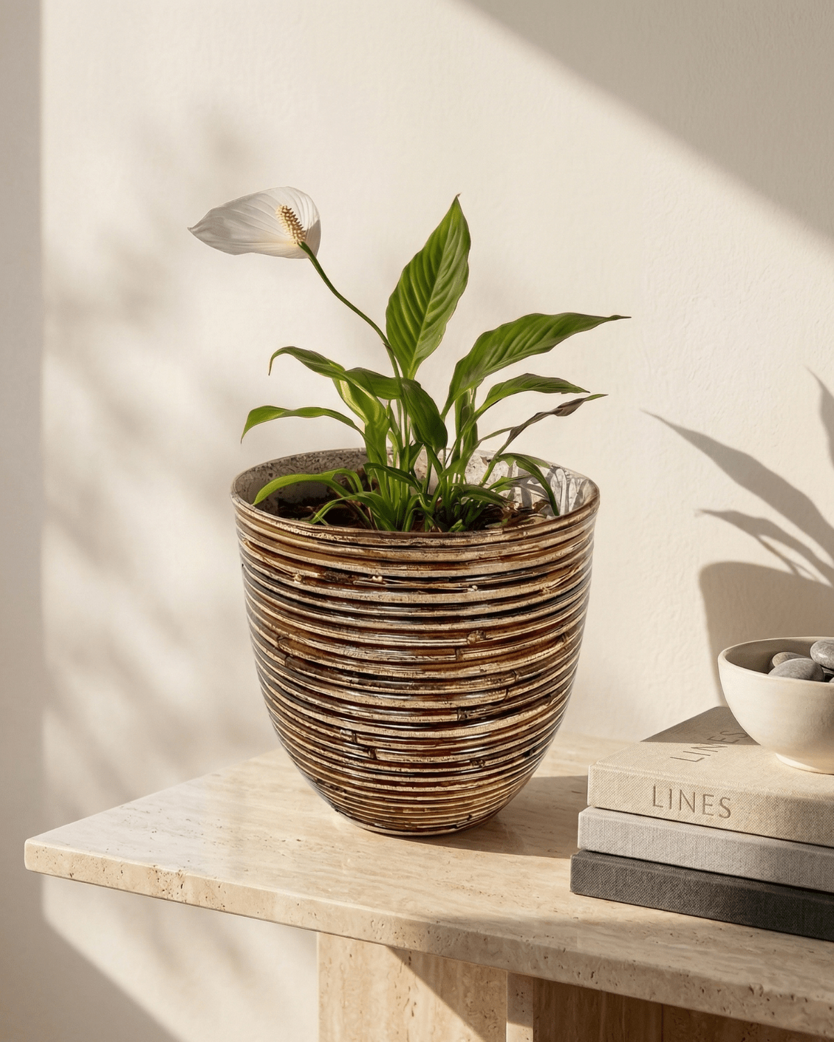 Round Balloon Pot (304566) | Bronze, D20 × 19 cm - Acacia Garden Center