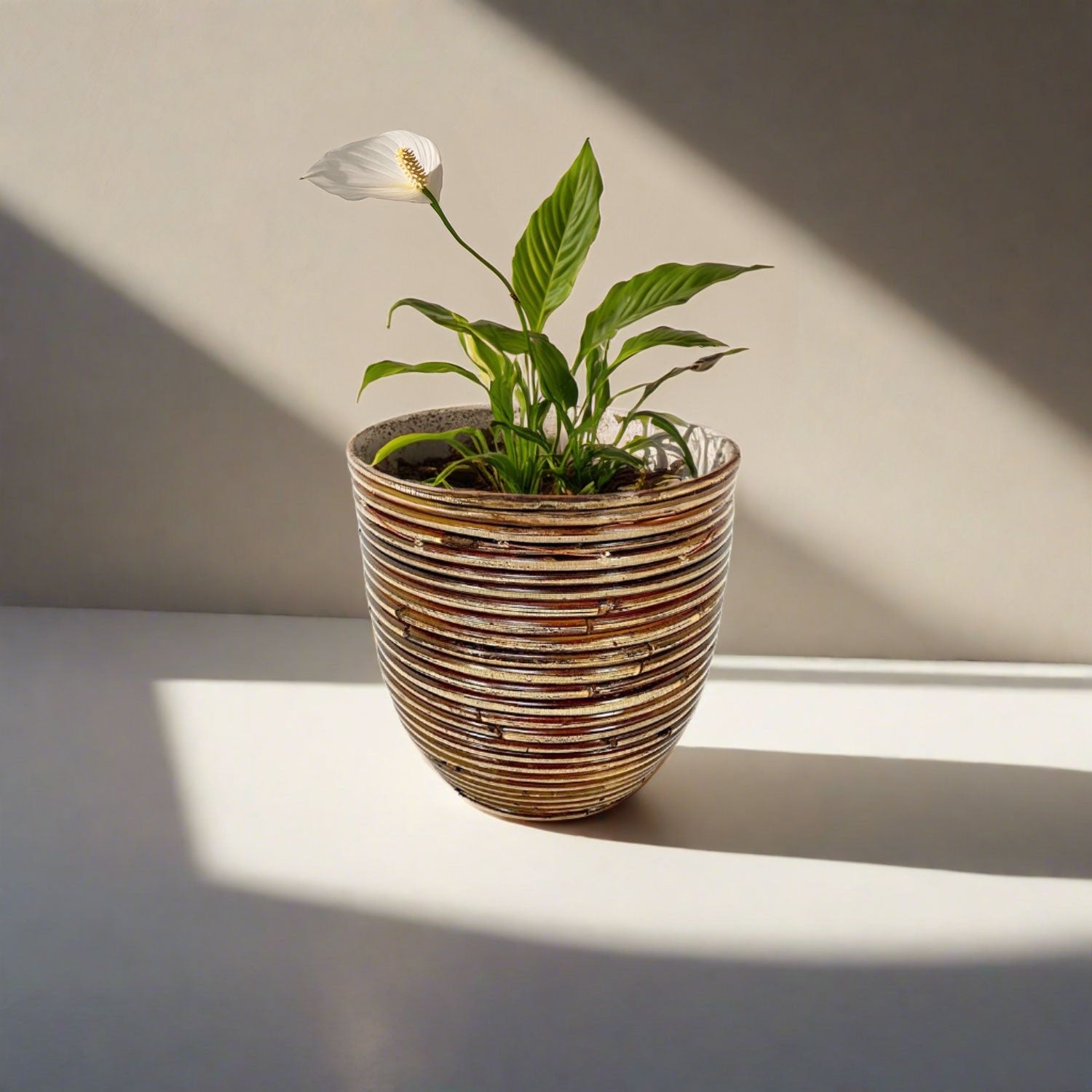 Round Balloon Pot (304566) | Bronze, D20 × 19 cm - Acacia Garden Center
