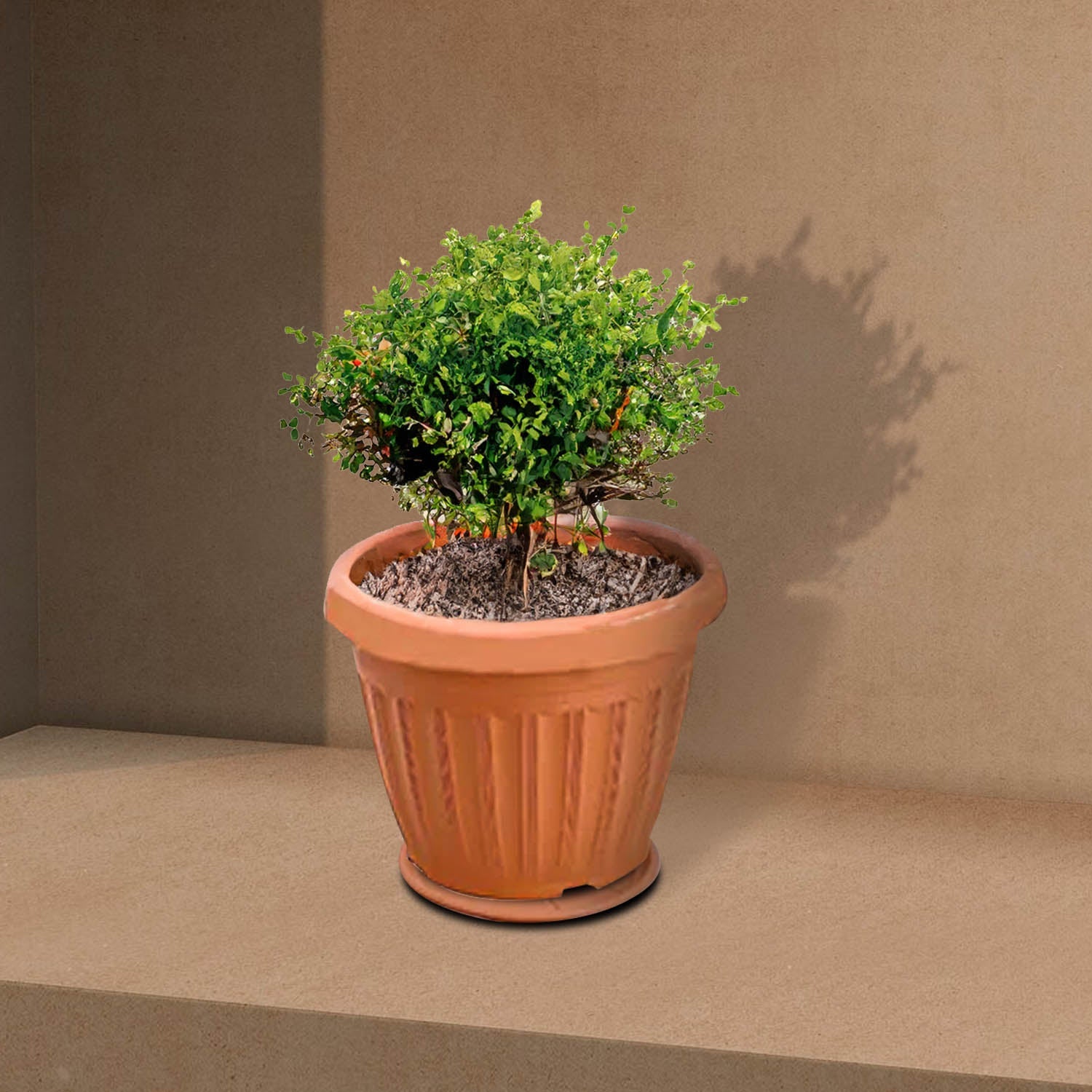 Round Flowerpot KD2009 39x29cm, Terracotta Color - Acacia Garden Center
