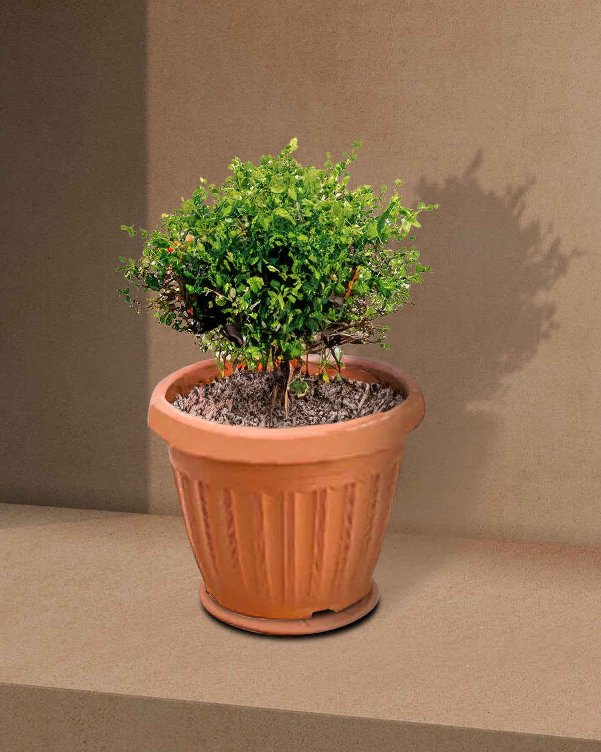 Round Flowerpot KD2009 39x29cm, Terracotta Color - Acacia Garden Center