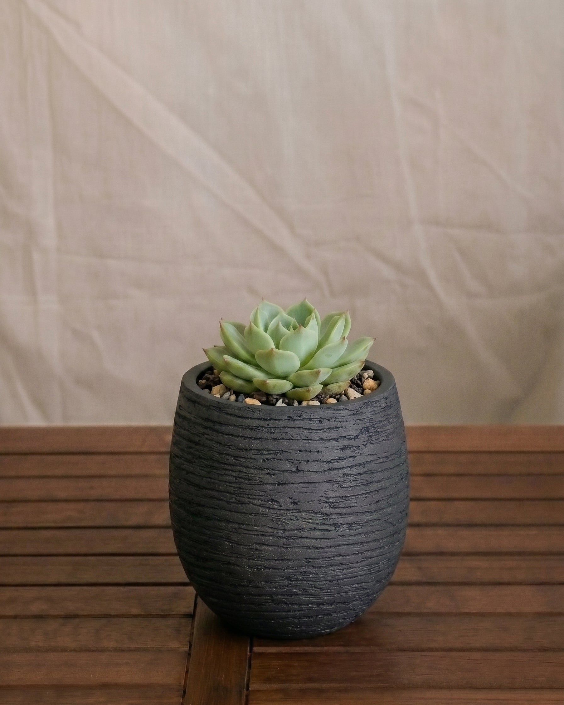 Ruvido Mini Balloon Planter | Sphere, 8 cm - Acacia Garden Center