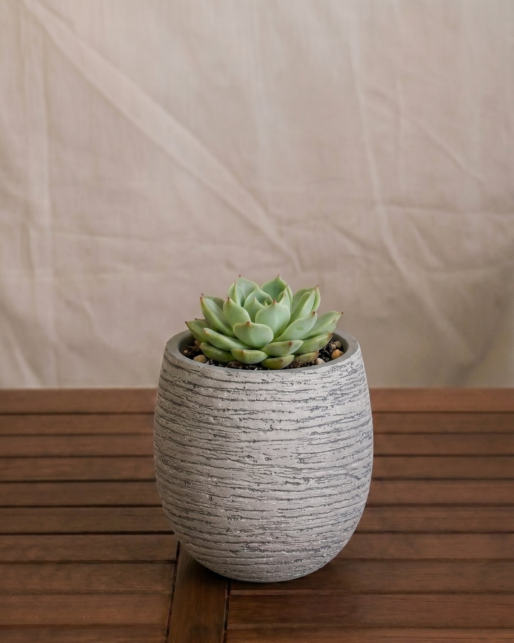 Ruvido Mini Balloon Planter | Sphere, 8 cm - Acacia Garden Center