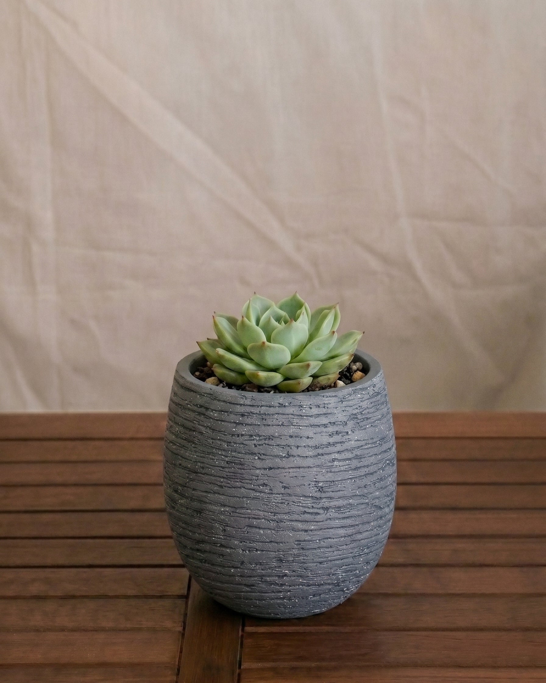 Ruvido Mini Balloon Planter | Sphere, 8 cm - Acacia Garden Center