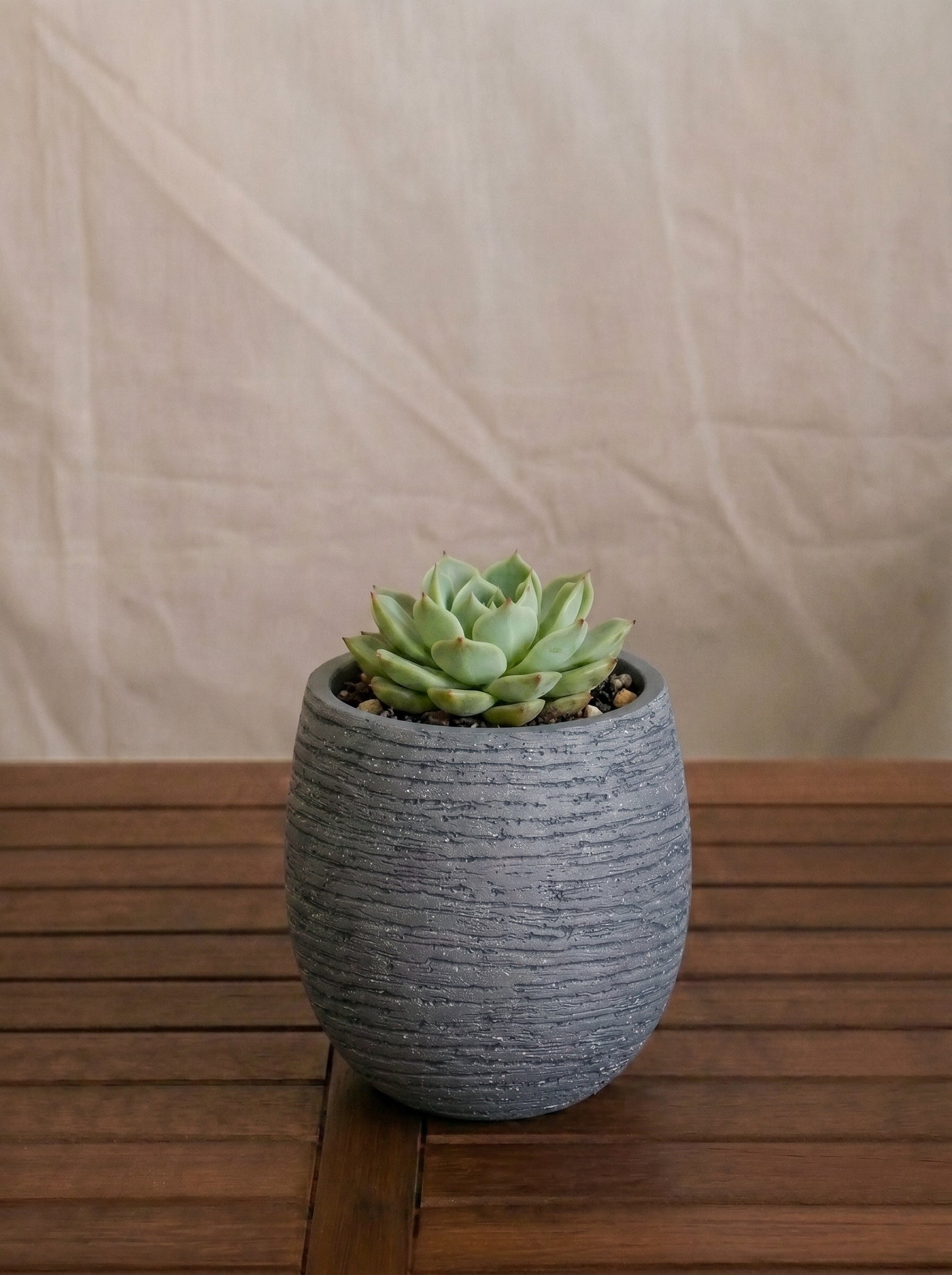 Ruvido Mini Balloon Planter | Sphere, 8 cm - Acacia Garden Center