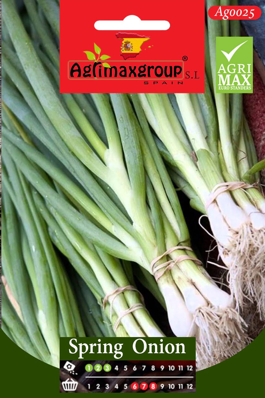 Spring Onion - Acacia Garden Center